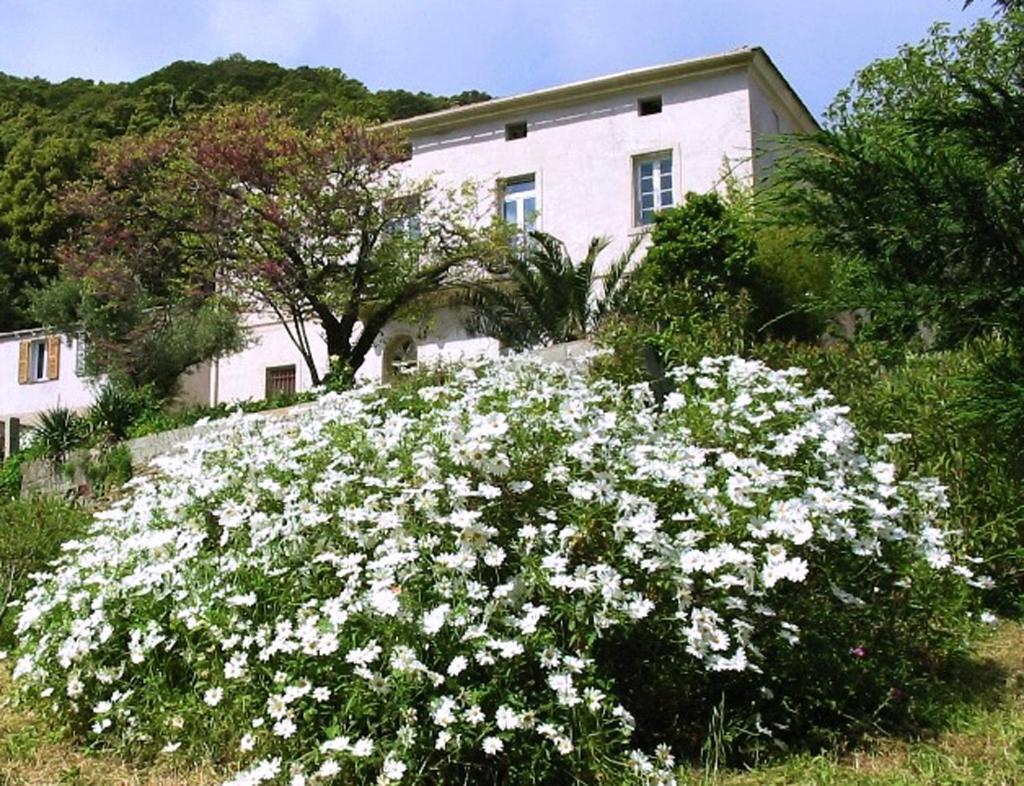 Casa A Rota Chambres D'Hotes Ersa Exteriör bild